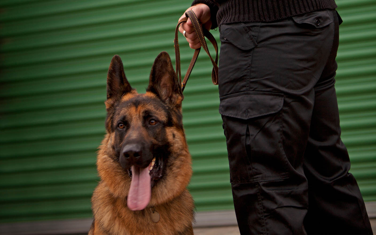 Security Guard Dogs Yorkshire