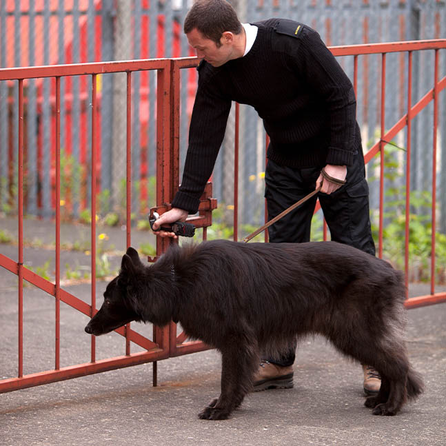 K9 Security Yorkshire