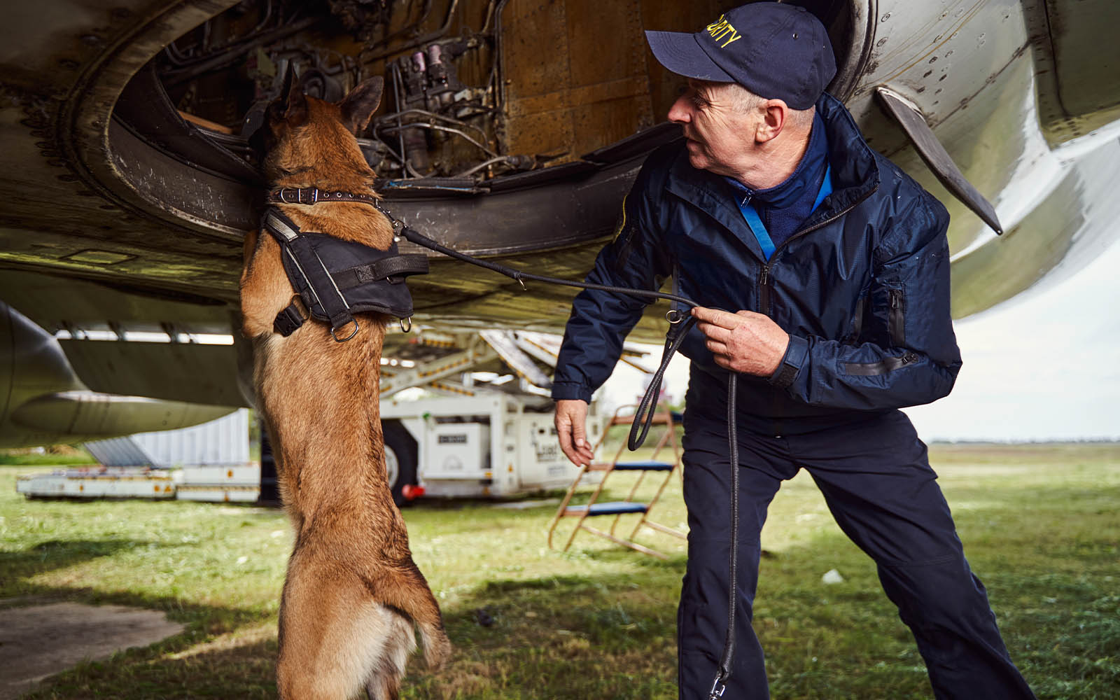 Search Dogs Wakefield